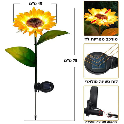 חמניות גארדן - תאורה סולארית