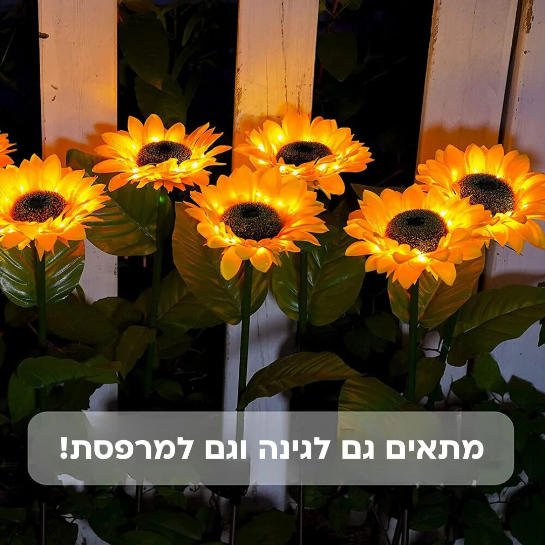 חמניות גארדן - תאורה סולארית