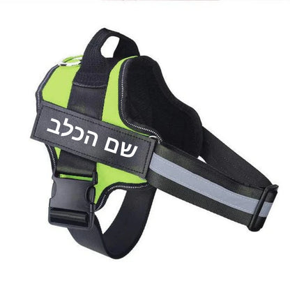 FonrelWalk - רתמה לכלבים נגד משיכות בעיצוב אישי